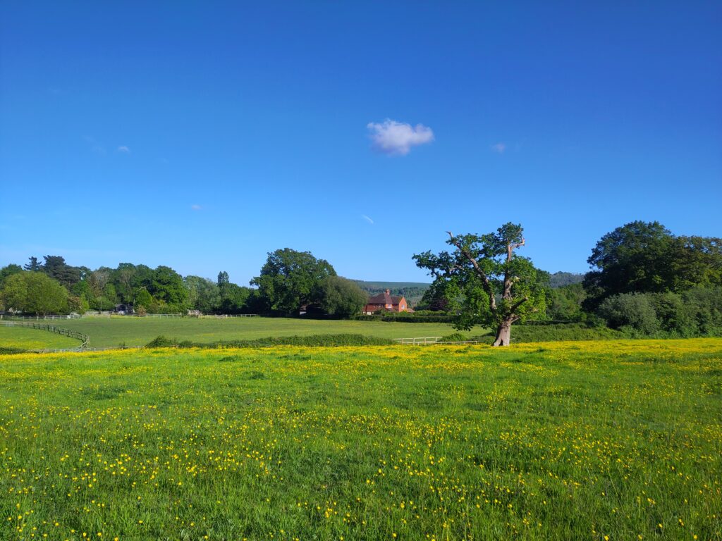 Landschaft in Sussex